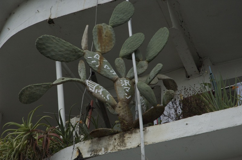 /chrome/site/SawamanForEmZero/cactus.jpg