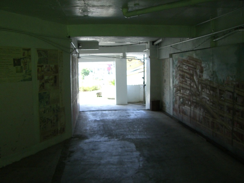 /chrome/site/SawamanForEmZero/pathway.jpg